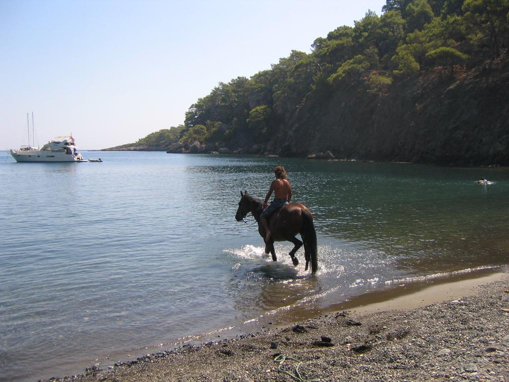 Hotel Berke Ranch&Nature Κεμέρ Εξωτερικό φωτογραφία